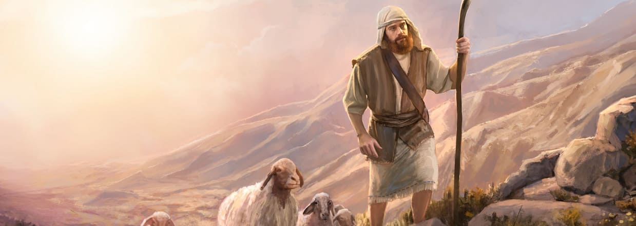 Pastore che sale un pendio con pecore al seguito